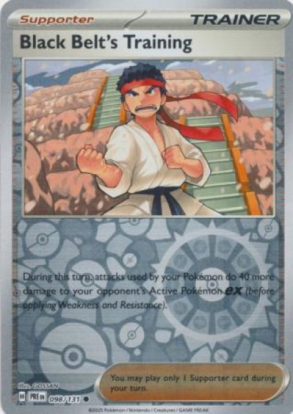 画像1: からておうの稽古　Black Belt's Training　【リバホロ】　英語版　海外版　098/131 (1)