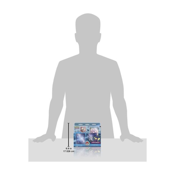 画像8: 2022年世界大会デッキ  -2022 Pokémon World Championships Deck - Rikuto Ohashi (8)