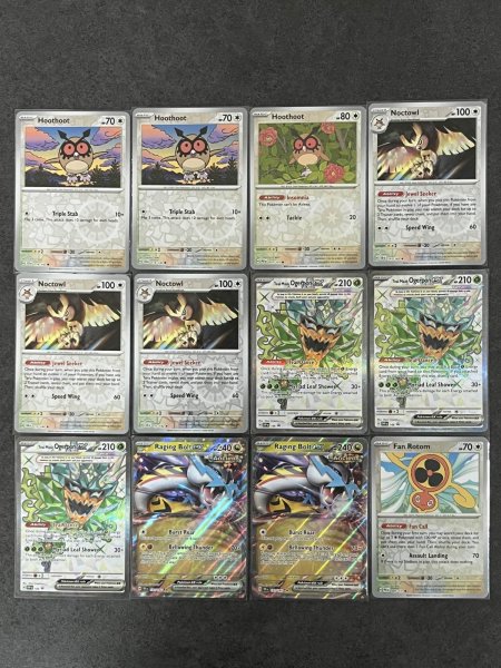 画像3: タケルライコex 高レアリティデッキ｜CL愛知準優勝レシピ (3)