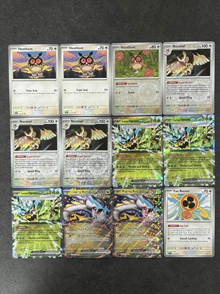 画像3: タケルライコex デッキ｜CL愛知準優勝レシピ (3)