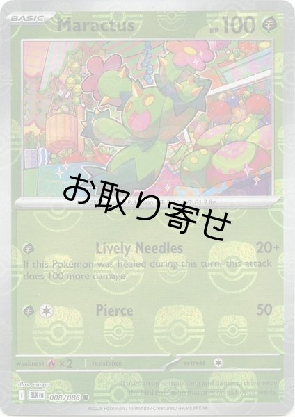 画像1: 【取り寄せ】マラカッチ　Maractus　【C・マスターボール柄】　英語版　海外版　008/086 (1)