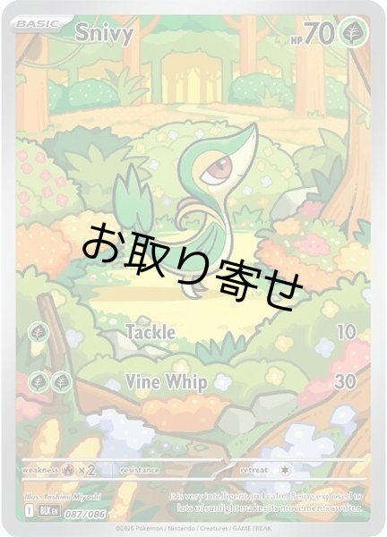 画像1: 【取り寄せ】ツタージャ　Snivy　【IR】　英語版　海外版　087/086 (1)