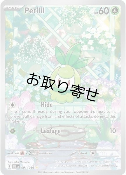 画像1: 【取り寄せ】チュリネ　Petilil　【IR】　英語版　海外版　091/086 (1)