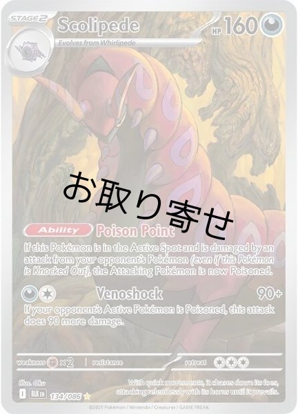 画像1: 【取り寄せ】ペンドラー　Scolipede　【IR】　英語版　海外版　134/086 (1)