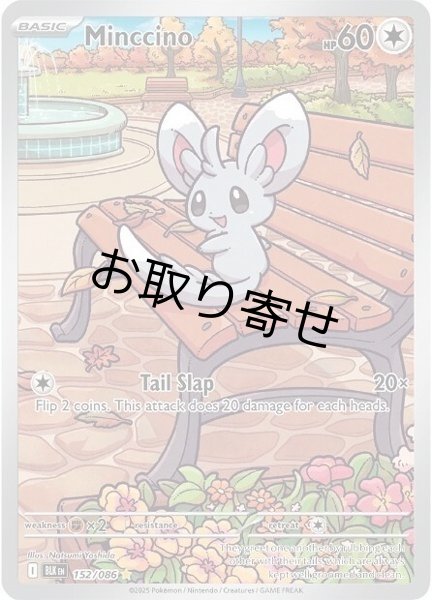 画像1: 【取り寄せ】チラーミィ　Minccino　【IR】　英語版　海外版　152/086 (1)