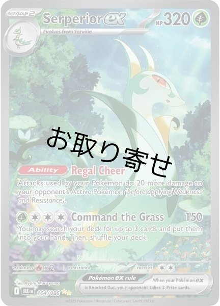 画像1: 【取り寄せ】ジャローダex　Serperior ex　【SIR】　英語版　海外版　164/086 (1)