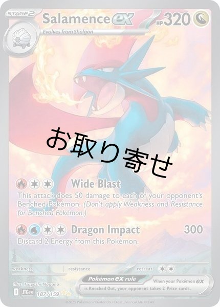 画像1: 【取り寄せ】ボーマンダex　Salamence ex　【SIR】　英語版　海外版　187/159 (1)