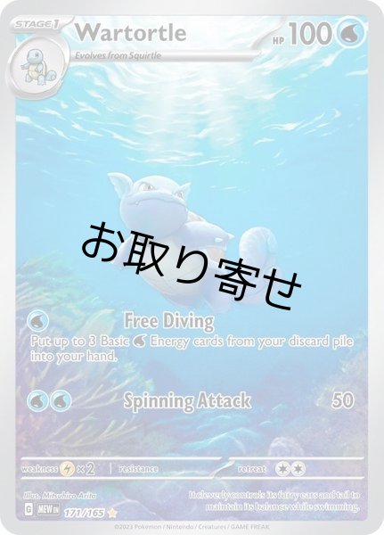 画像1: 【取り寄せ】カメール　Wartortle　【IR】　英語版　海外版　171/165 (1)