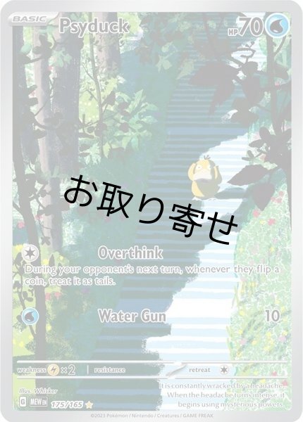画像1: 【取り寄せ】コダック　Psyduck　【IR】　英語版　海外版　175/165 (1)