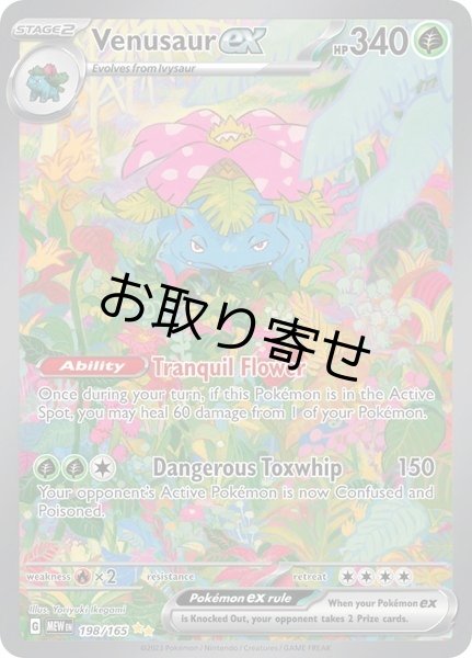 画像1: 【取り寄せ】フシギバナex　Venusaur ex　【SIR】　英語版　海外版　198/165 (1)