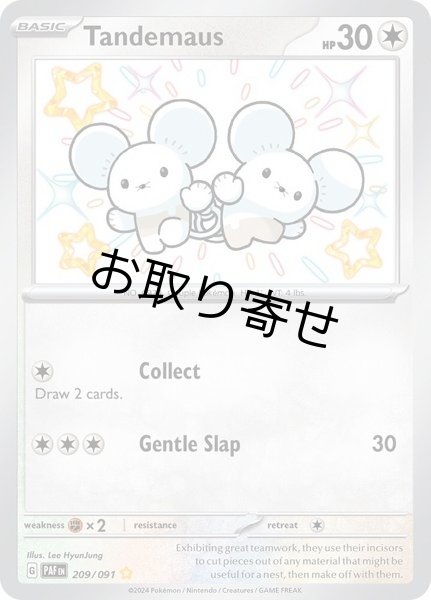 画像1: 【取り寄せ】ワッカネズミ　Tandemaus　【S】　英語版　海外版　209/091 (1)