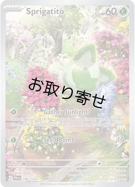 画像1: 【取り寄せ】ニャオハ　Sprigatito　【IR】　英語版　海外版　196/193 (1)