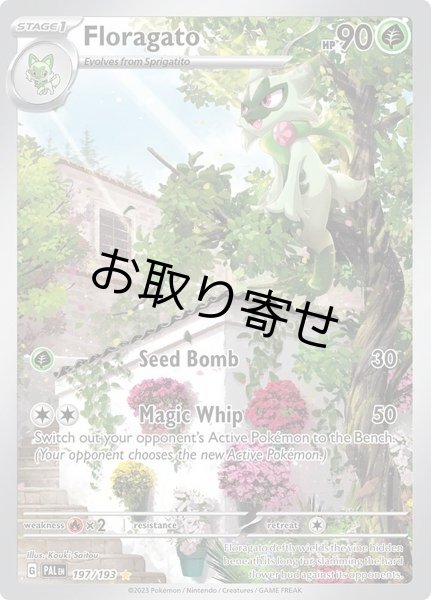 画像1: 【取り寄せ】ニャローテ　Floragato　【IR】　英語版　海外版　197/193 (1)