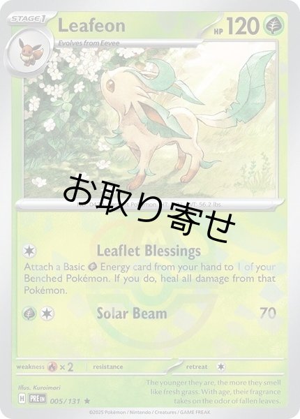 画像1: 【取り寄せ】リーフィア　Leafeon　【R・マスターボール柄】　英語版　海外版　005/131 (1)
