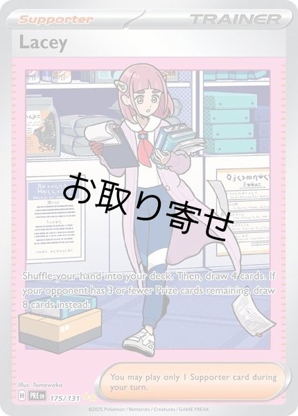 画像1: 【取り寄せ】タロ　Lacey　【SIR】　英語版　海外版　175/131 (1)