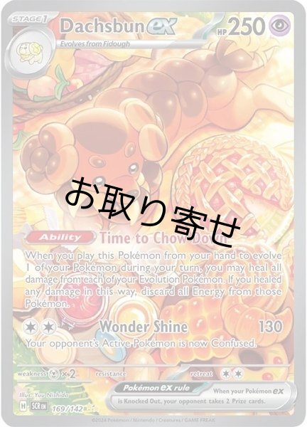 画像1: 【取り寄せ】バウッツェルex　Dachsbun ex　【SIR】　英語版　海外版　169/142 (1)