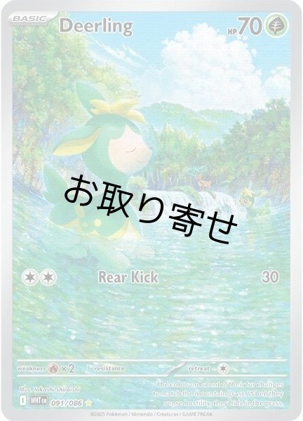 画像1: 【取り寄せ】シキジカ　Deerling　【IR】　英語版　海外版　091/086 (1)