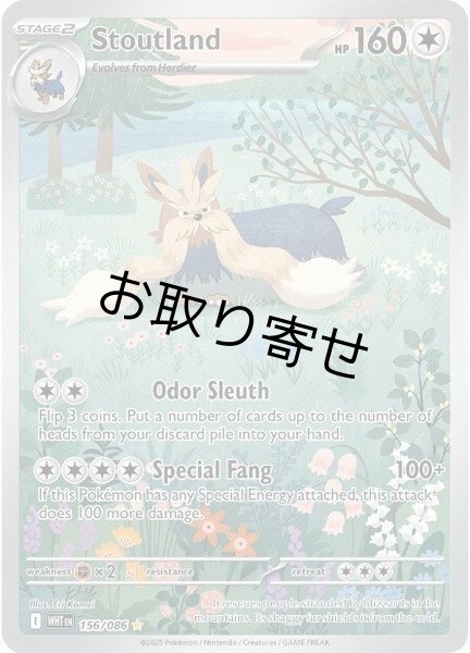 画像1: 【取り寄せ】ムーランド　Stoutland　【IR】　英語版　海外版　156/086 (1)